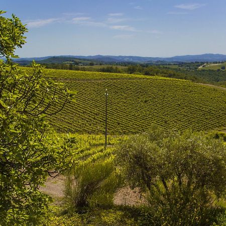 Fattoria Di Magliano Winery Vila Magliano in Toscana Quarto foto