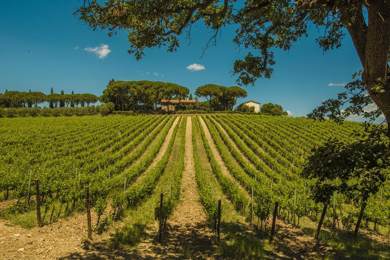 Fattoria Di Magliano Winery Vila Magliano in Toscana Exterior foto