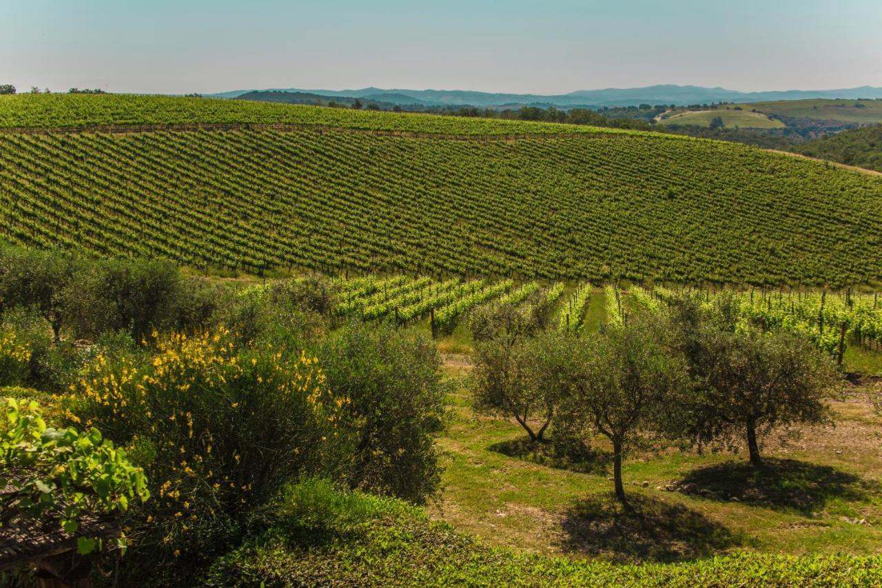 Fattoria Di Magliano Winery Vila Magliano in Toscana Exterior foto