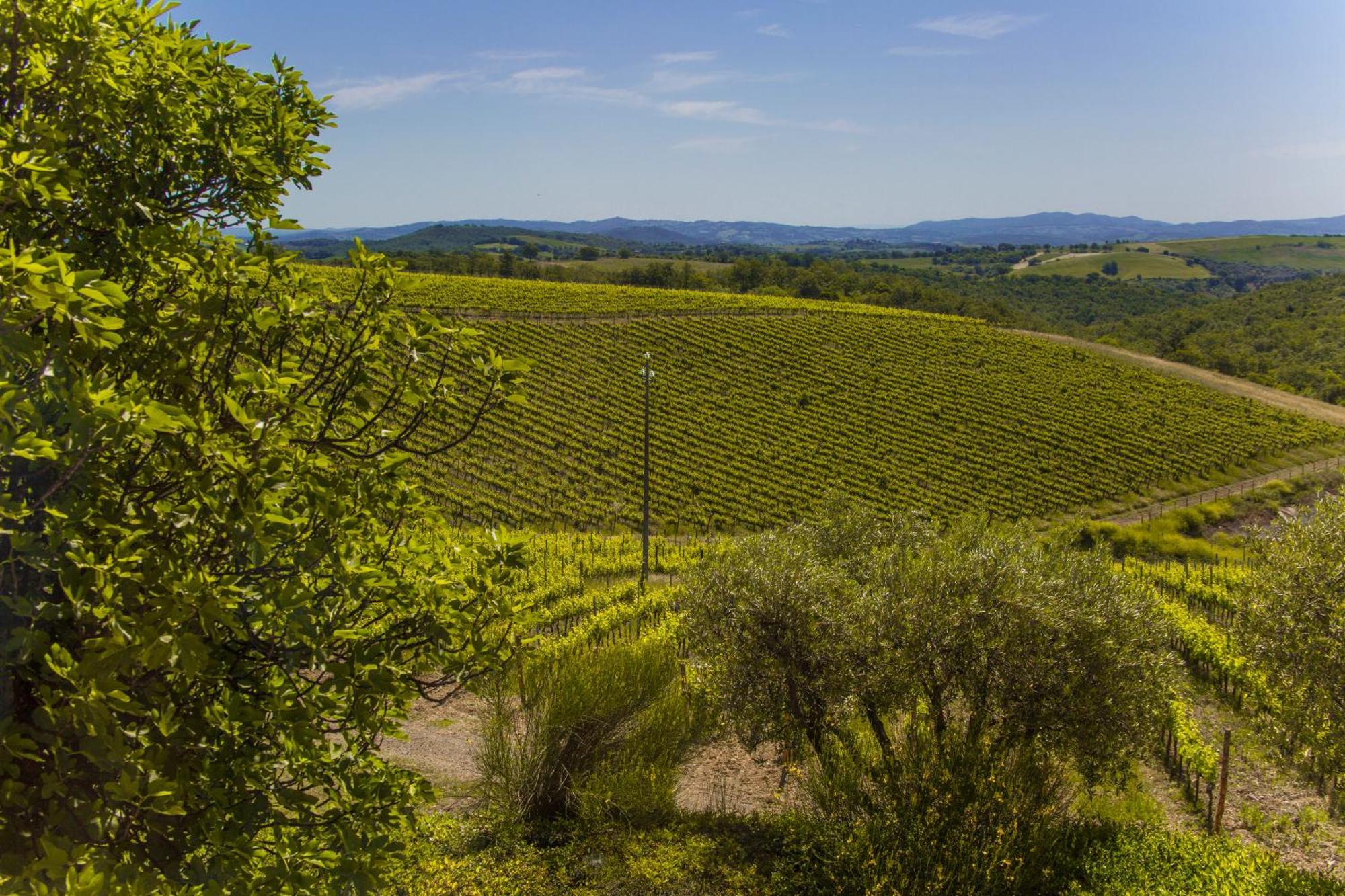 Fattoria Di Magliano Winery Vila Magliano in Toscana Quarto foto